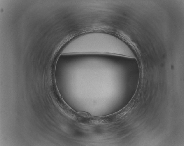 X0000071340250200606230744