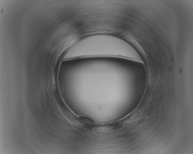 X0000071340251200606230744