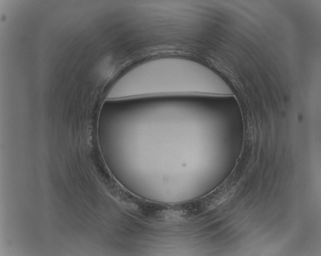 X0000071340255200606230744