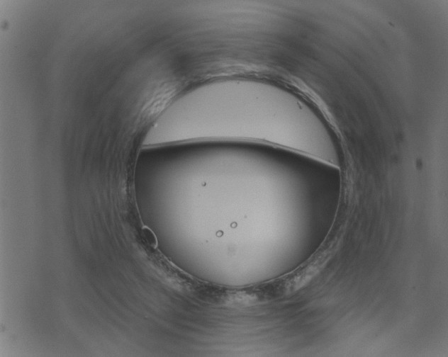 X0000071340257200606230744