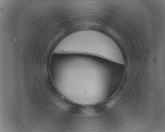 X0000071340258200606230744