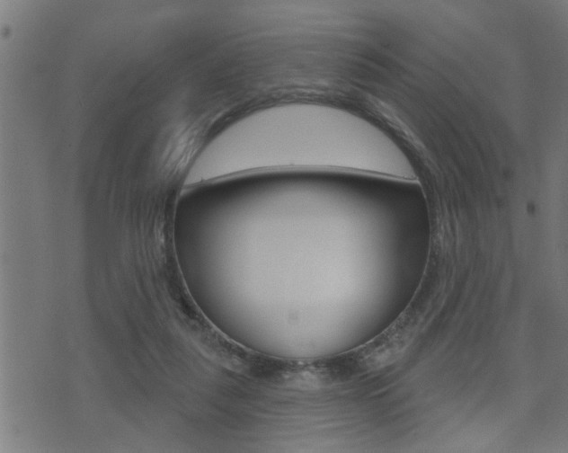 X0000071340259200606230744