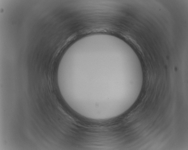 X0000071340260200606230744