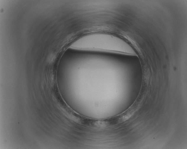 X0000071340261200606230744