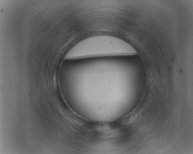 X0000071340262200606230744