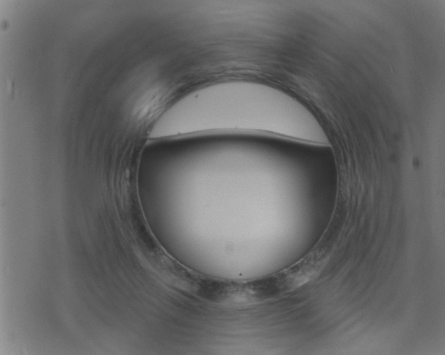 X0000071340263200606230744