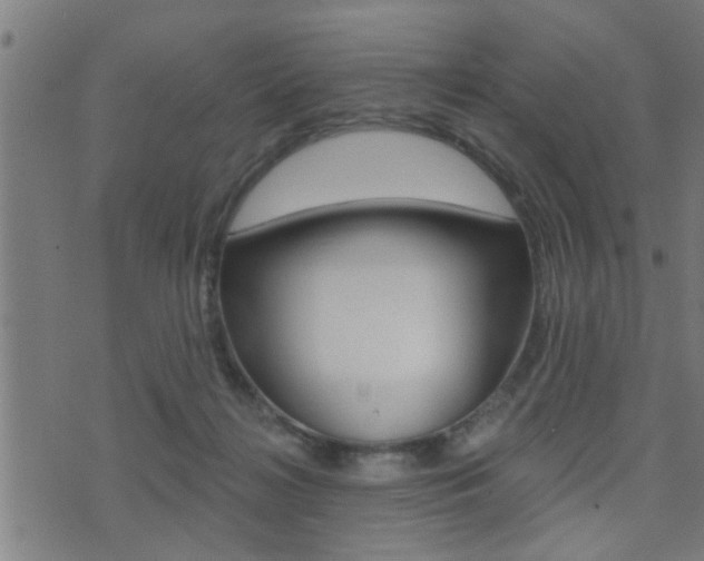 X0000071340268200606230744