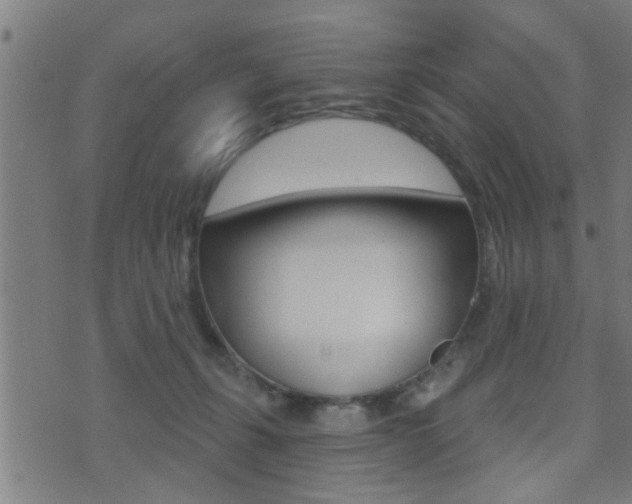 X0000071340271200606230744