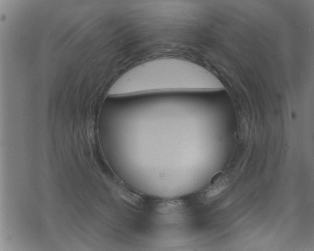 X0000071340274200606230744