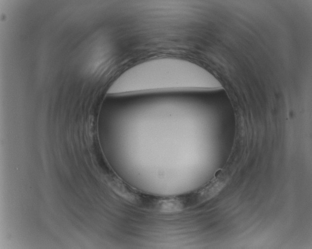 X0000071340275200606230744