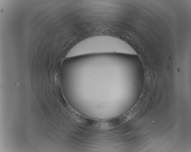 X0000071340276200606230744