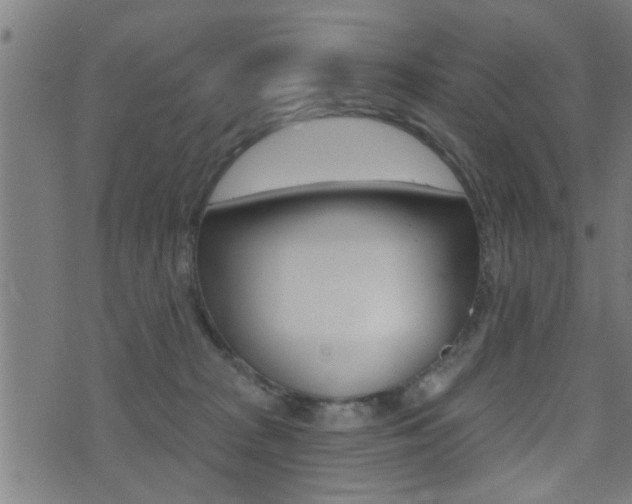 X0000071340277200606230744