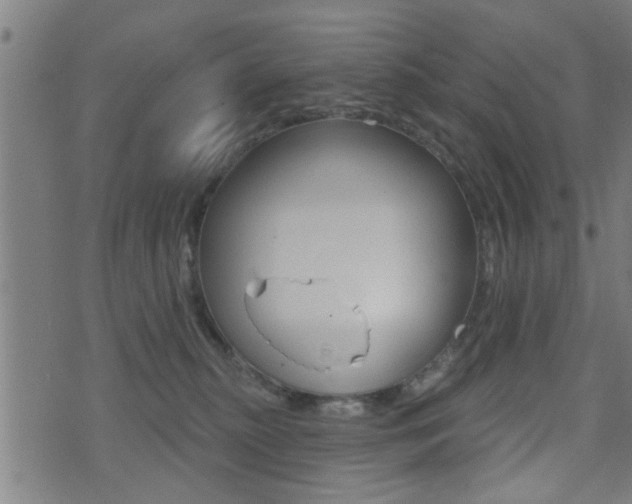 X0000071340279200606230744