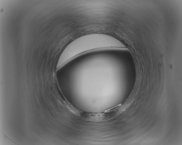 X0000071340288200606230745