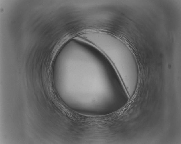 X0000071340289200606230744