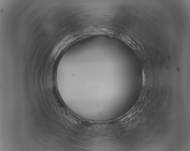 X0000071340291200606230744