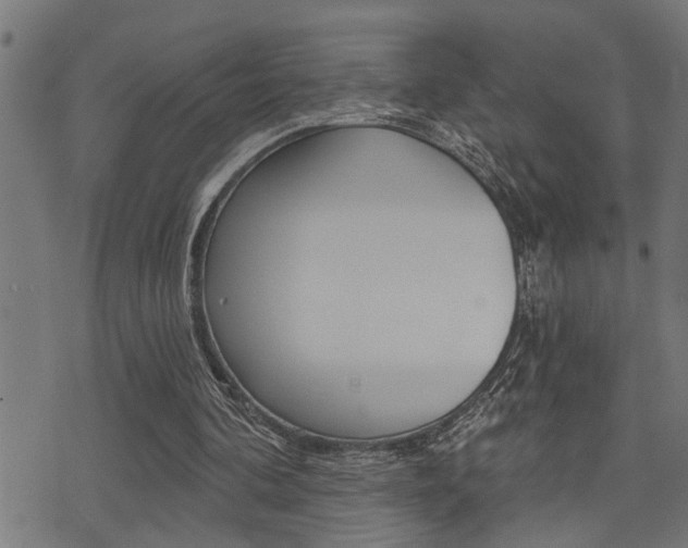 X0000071340292200606230744