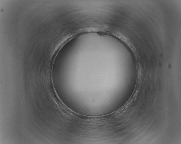 X0000071340297200606230744