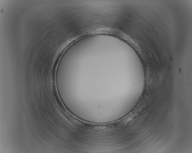 X0000071340298200606230744