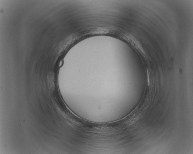 X0000071340300200606230744