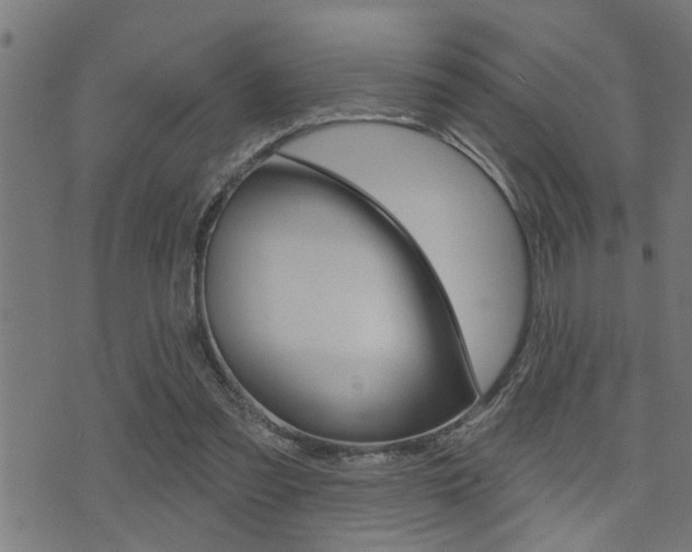 X0000071340301200606230744