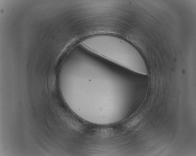 X0000071340304200606230744