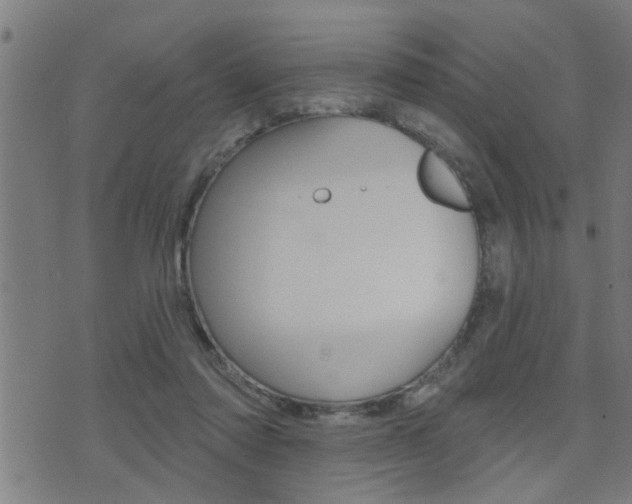 X0000071340310200606230744