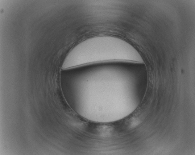 X0000071340319200606230743