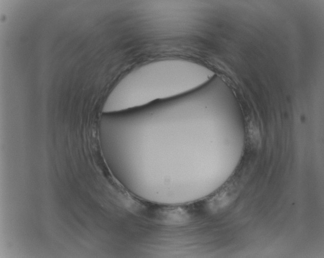 X0000071340322200606230743