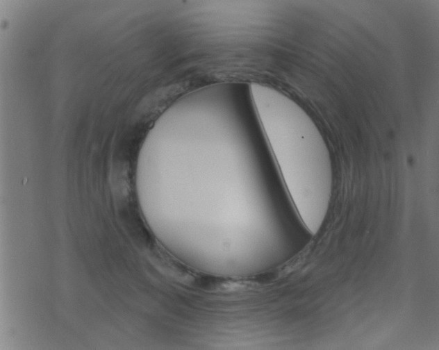 X0000071340323200606230743