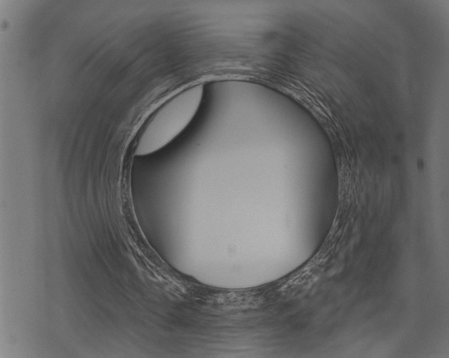 X0000071340338200606230742