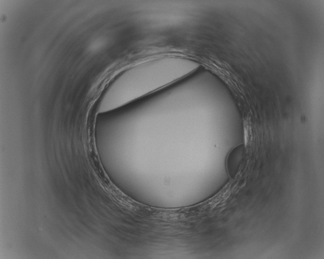 X0000071340339200606230742