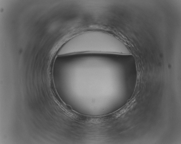 X0000071340341200606230742