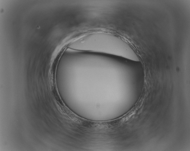 X0000071340343200606230742