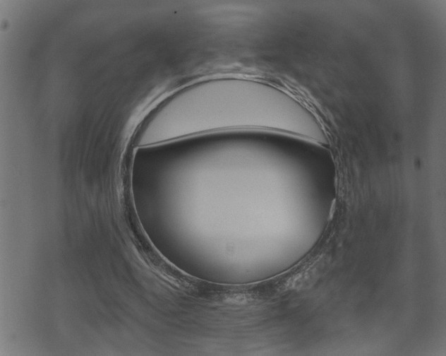 X0000071340344200606230742