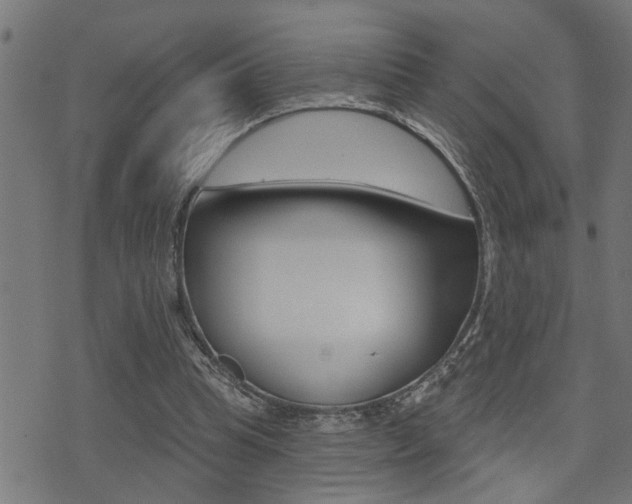 X0000071340345200606230742