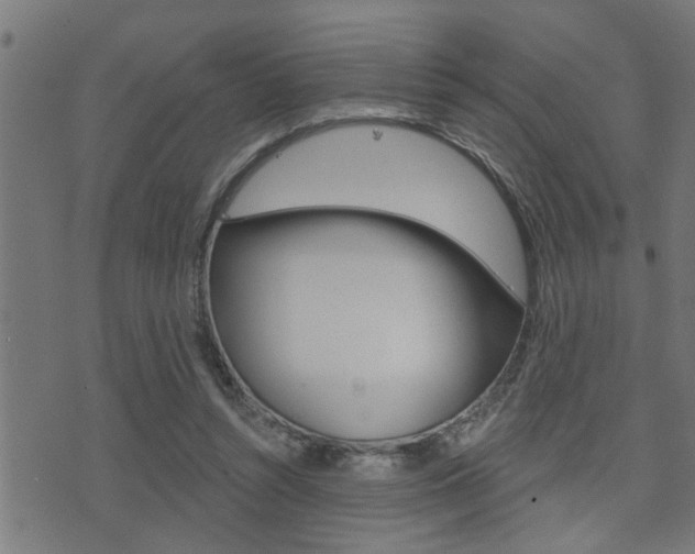 X0000071340352200606230743