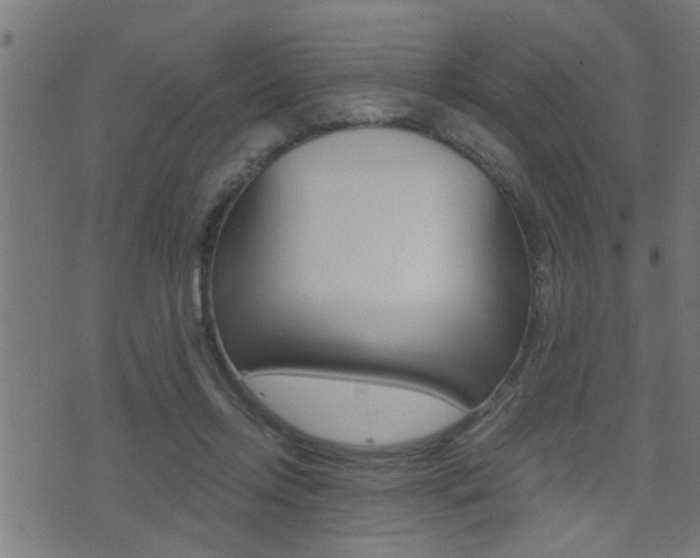 X0000071340358200606230743