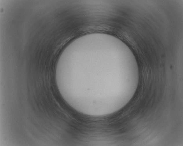 X0000071340360200606230743