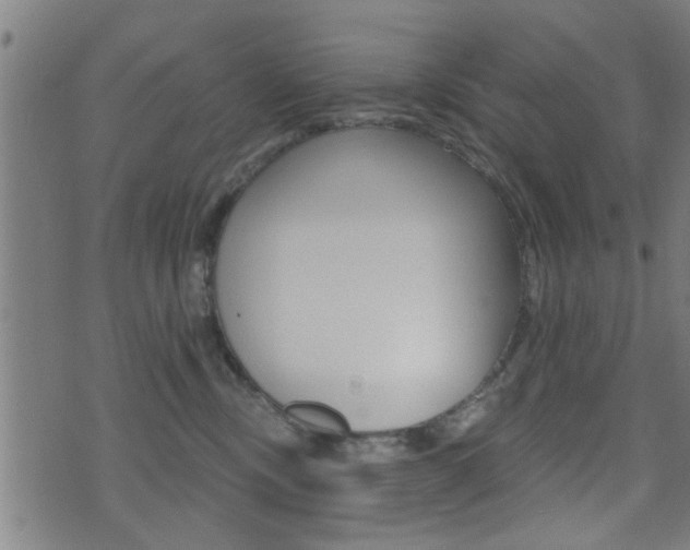 X0000071340378200606230743