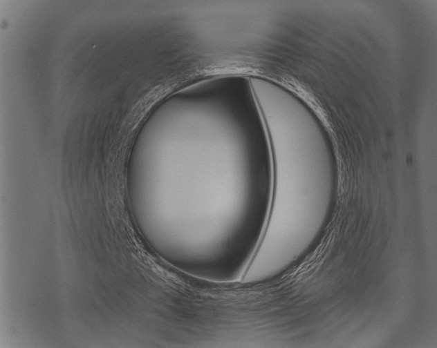 X0000071340385200606230742