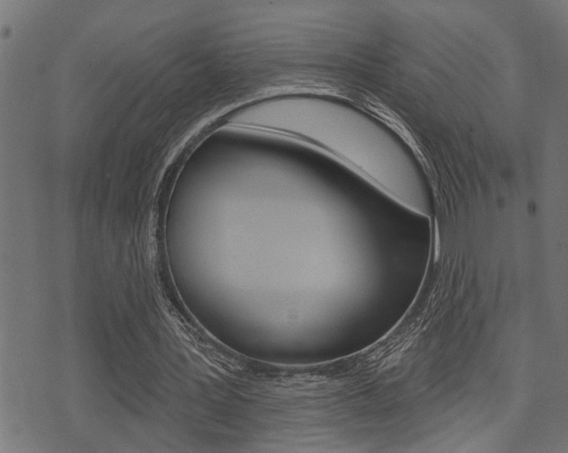 X0000071340387200606230742