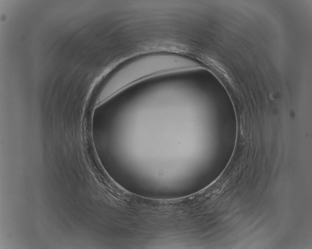 X0000071340388200606230742