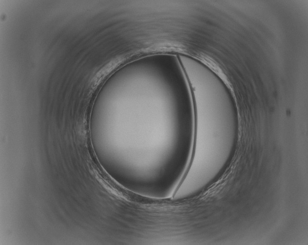 X0000071340389200606230742