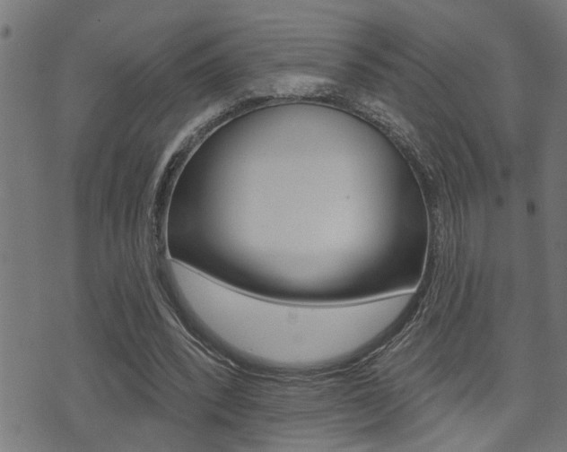 X0000071340392200606230742