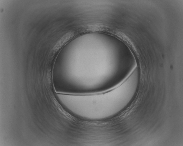 X0000071340393200606230742