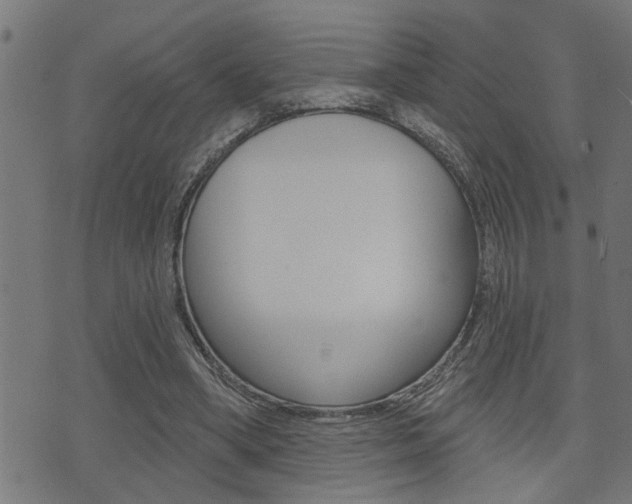 X0000071340394200606230742