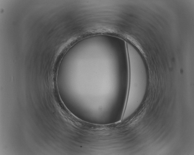 X0000071340395200606230742