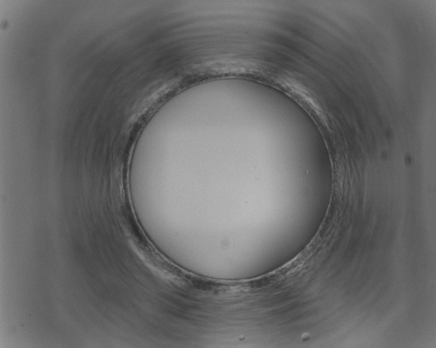 X0000071340398200606230742