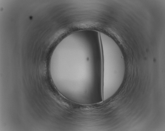 X0000071340400200606230742